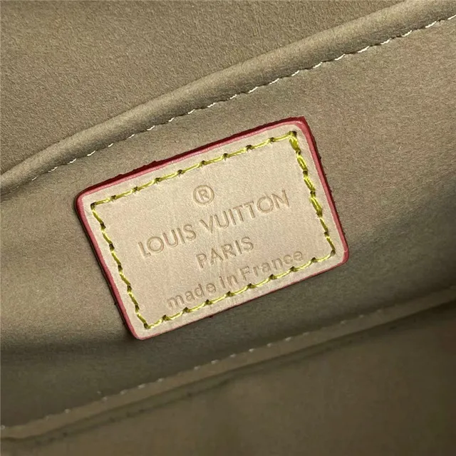 Louis Vuitton marron beige circulaire rigide silhouette Monogram Canvas sac à main 4
