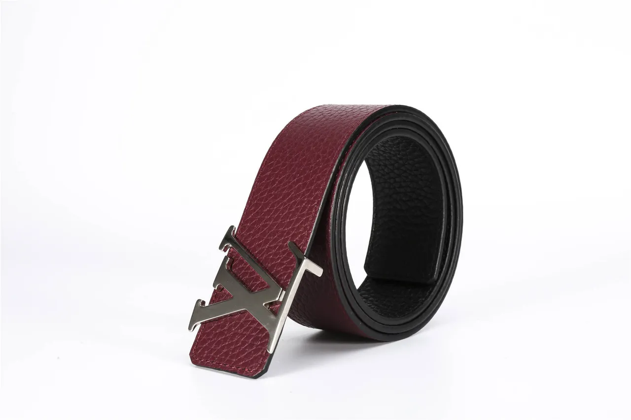 Louis Vuitton Cinto de couro reversível bordeaux prata granulado 5