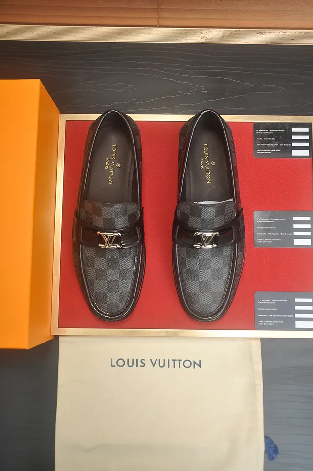 Louis Vuitton Damier Graphite Bit Loafer Men's Loafers 5