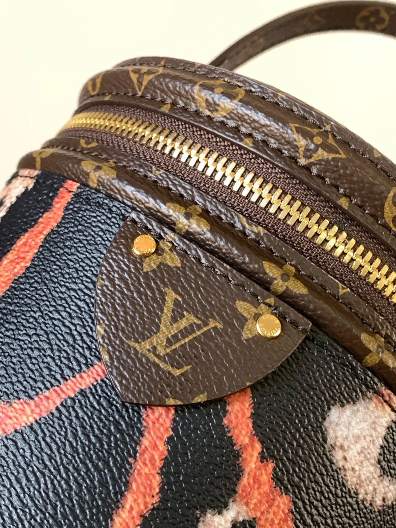 Louis Vuitton Giraffe-Print Coated Canvas Bucket Bag 3