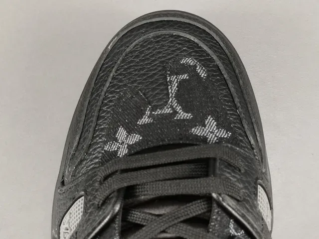 Louis Vuitton LV Trainer Black Gray Monogram-Print Leather Asymmetric Cage Overlay Lifestyle Sneakers 4