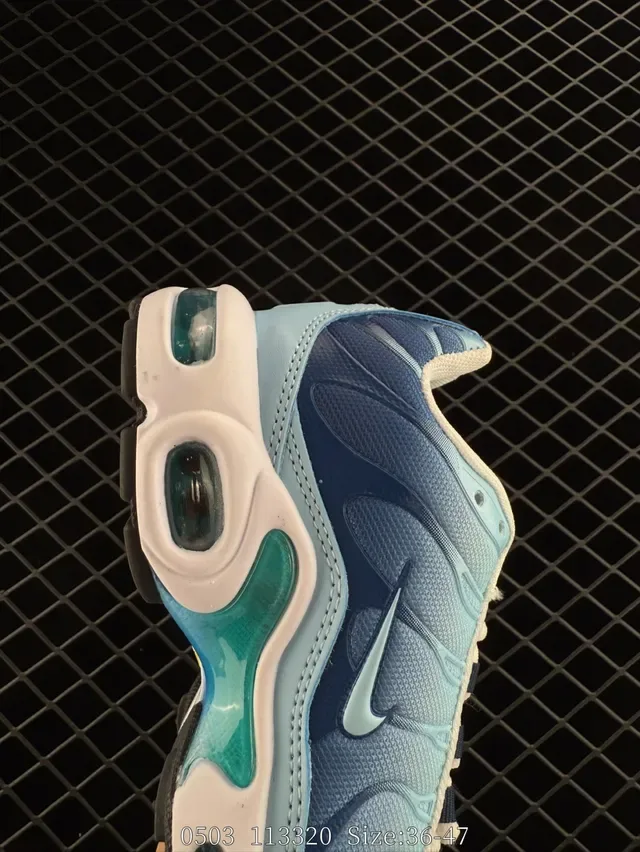 Nike Air Max Plus Gradient Blue Lifestyle Sneakers 3