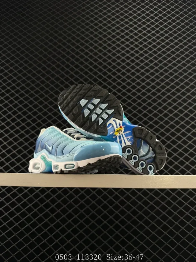 Nike Air Max Plus Gradient Blue Lifestyle Sneakers 4