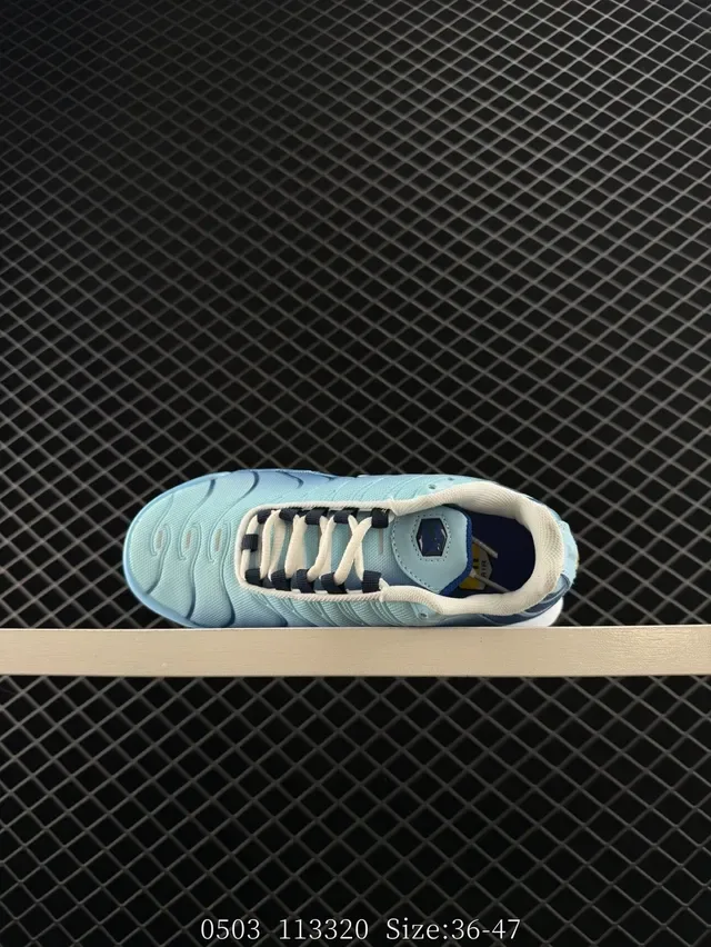 Nike Air Max Plus Gradient Blue Lifestyle Sneakers 7