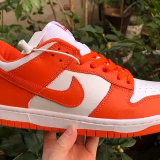 Nike Dunk Low Orange and White Lifestyle Sneakers