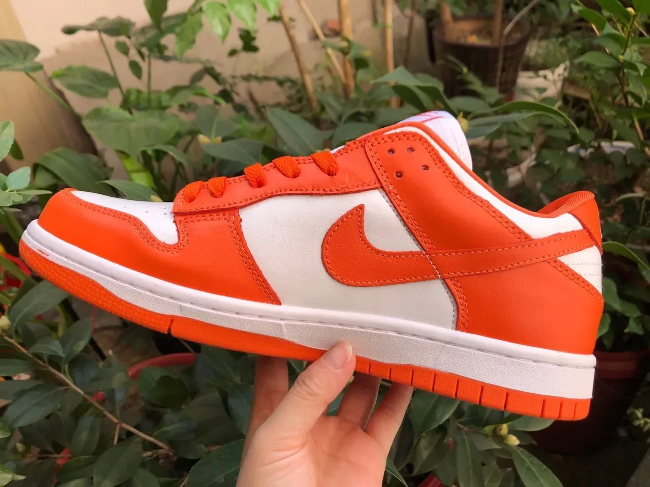 Nike Dunk Low Orange and White Lifestyle Sneakers 3