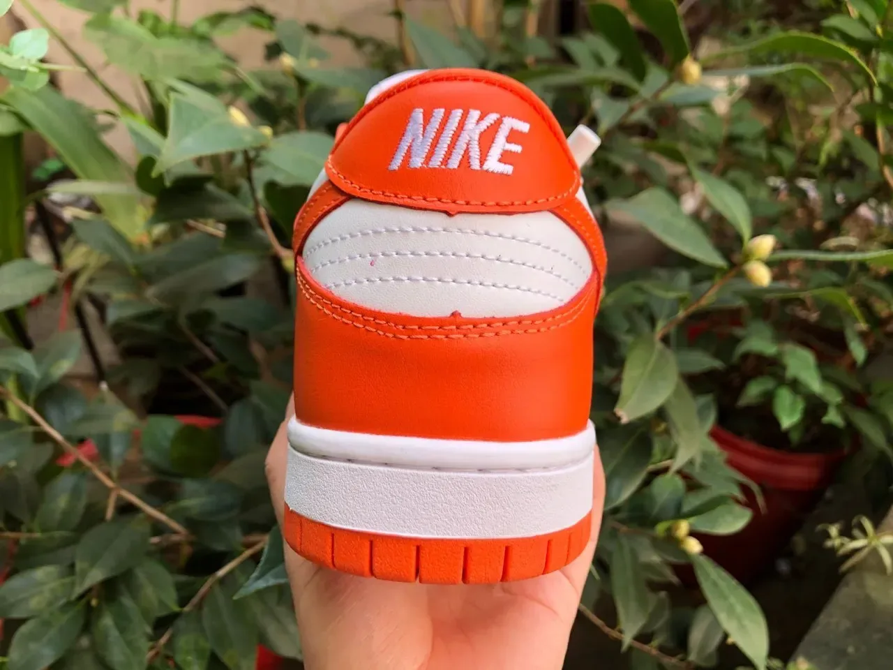 Nike Dunk Low Orange and White Lifestyle Sneakers 4