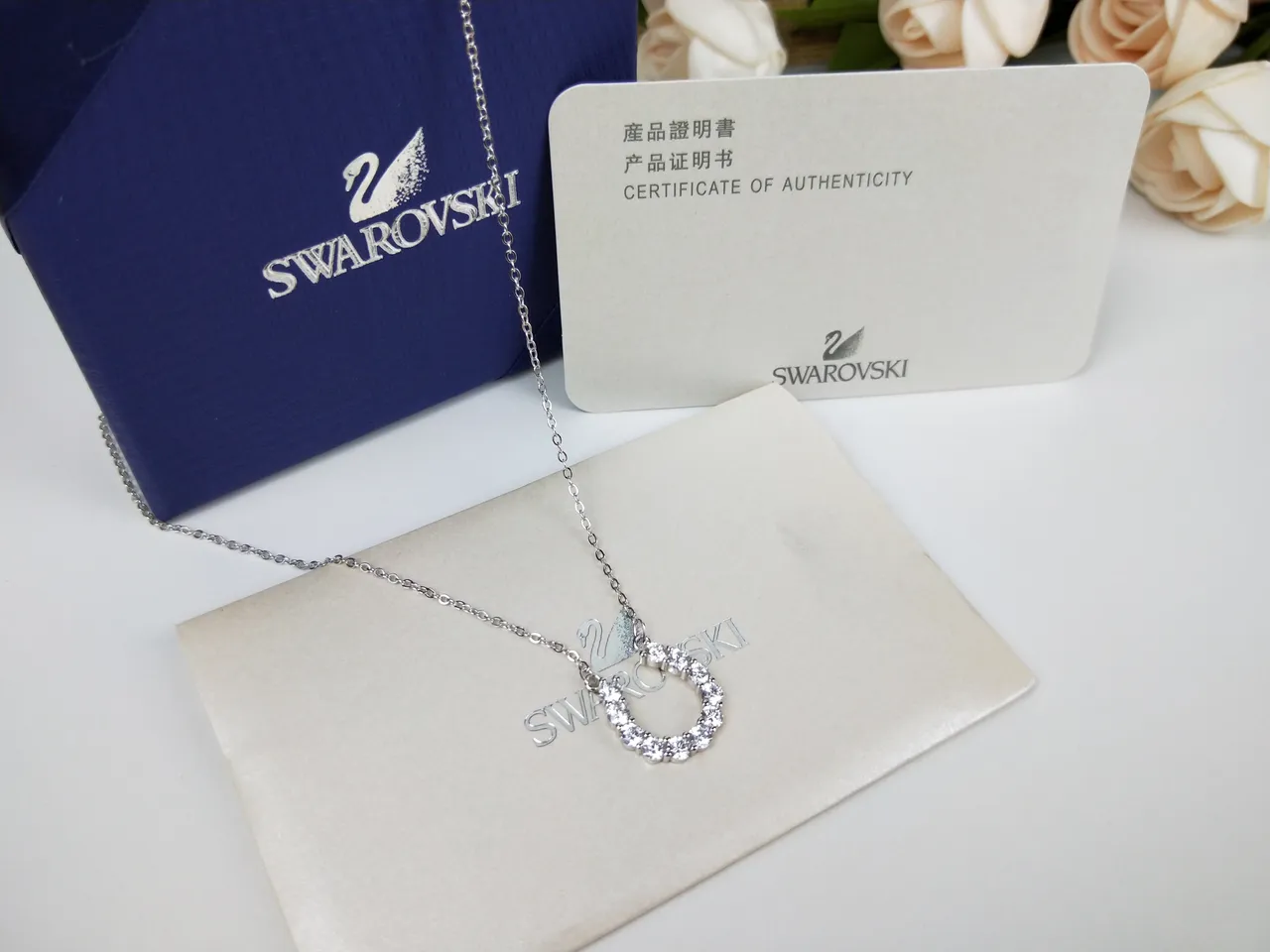 Swarovski Crystal Pavé Hoop Pendant Necklace 3