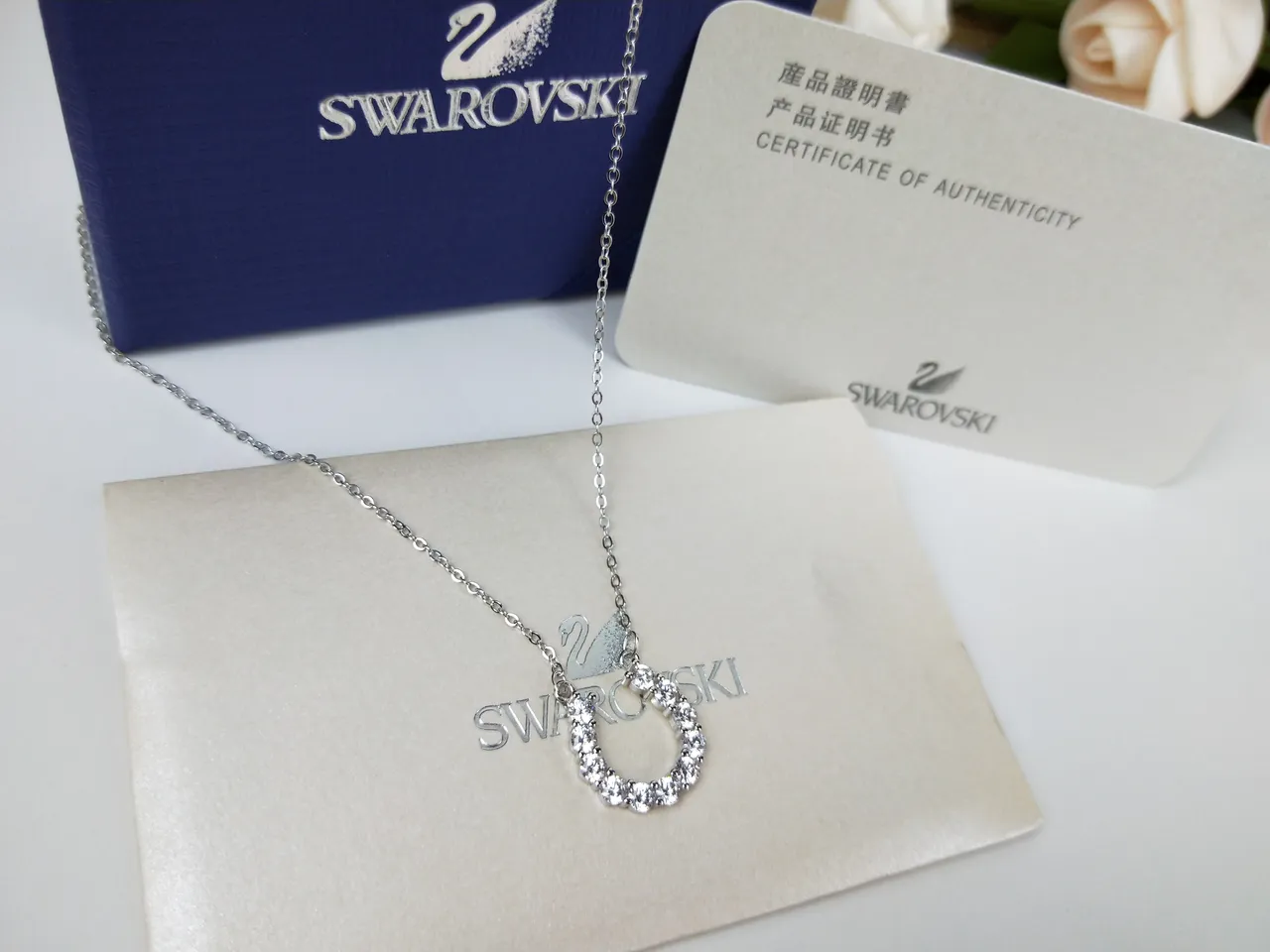 Swarovski Crystal Pavé Hoop Pendant Necklace 4