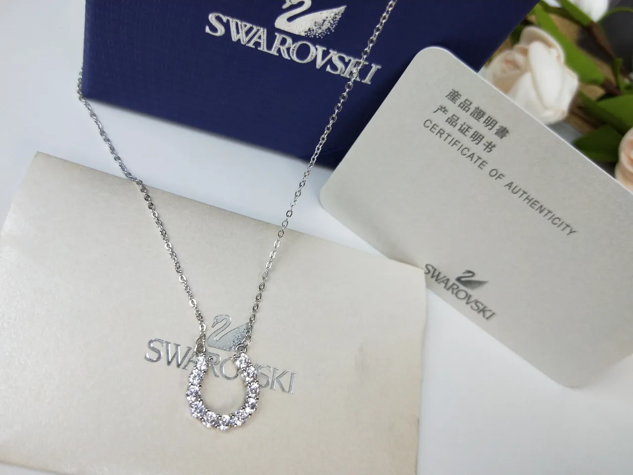 Swarovski Crystal Pavé Hoop Pendant Necklace 5