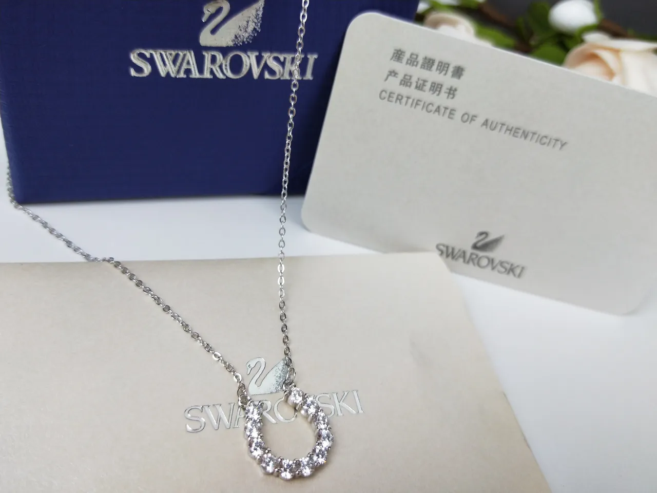 Swarovski Crystal Pavé Hoop Pendant Necklace 9