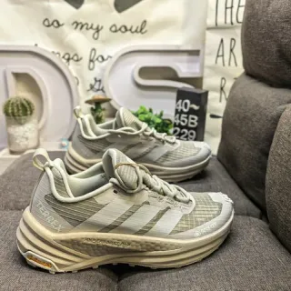 Adidas Terrex Two GORE-TEX Beige Chaussures de course