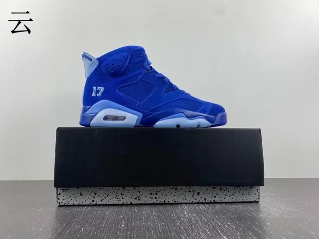 Air Jordan 6 Chaussures de Basketball Bleu Royal et Bleu Clair 4