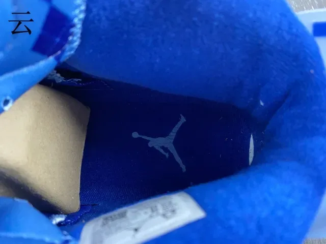 Air Jordan 6 Chaussures de Basketball Bleu Royal et Bleu Clair 10
