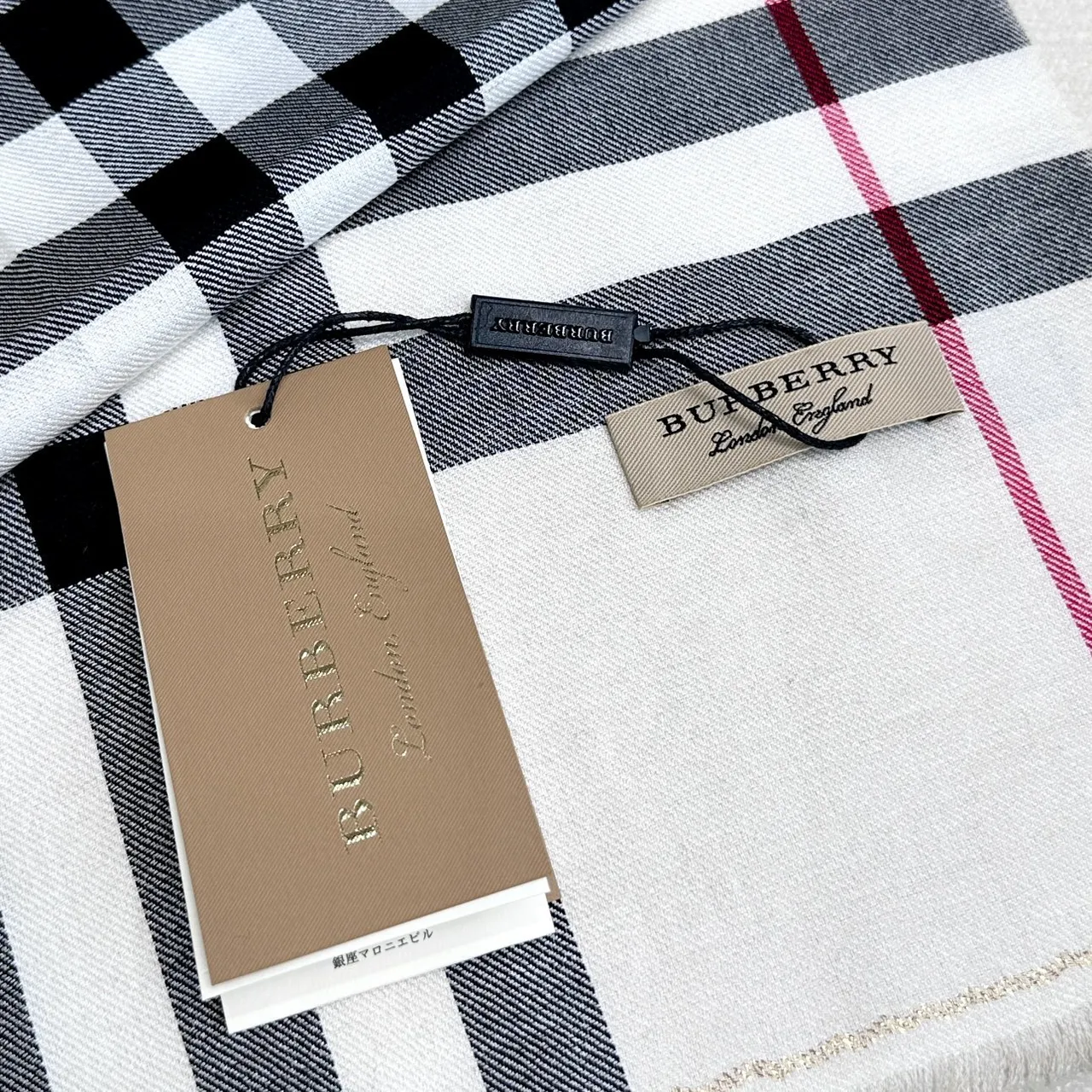 Burberry Nova Check Oversized Fringed Shawl 3
