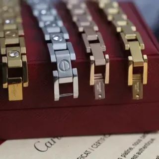 Cartier Love Bracelet Gold Silver Rose Gold Two-Tone Metal Link Bracelets