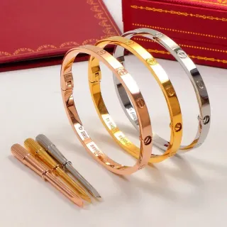 Cartier Love Bracelet Rose Gold Yellow Gold Silver Metal Bracelets