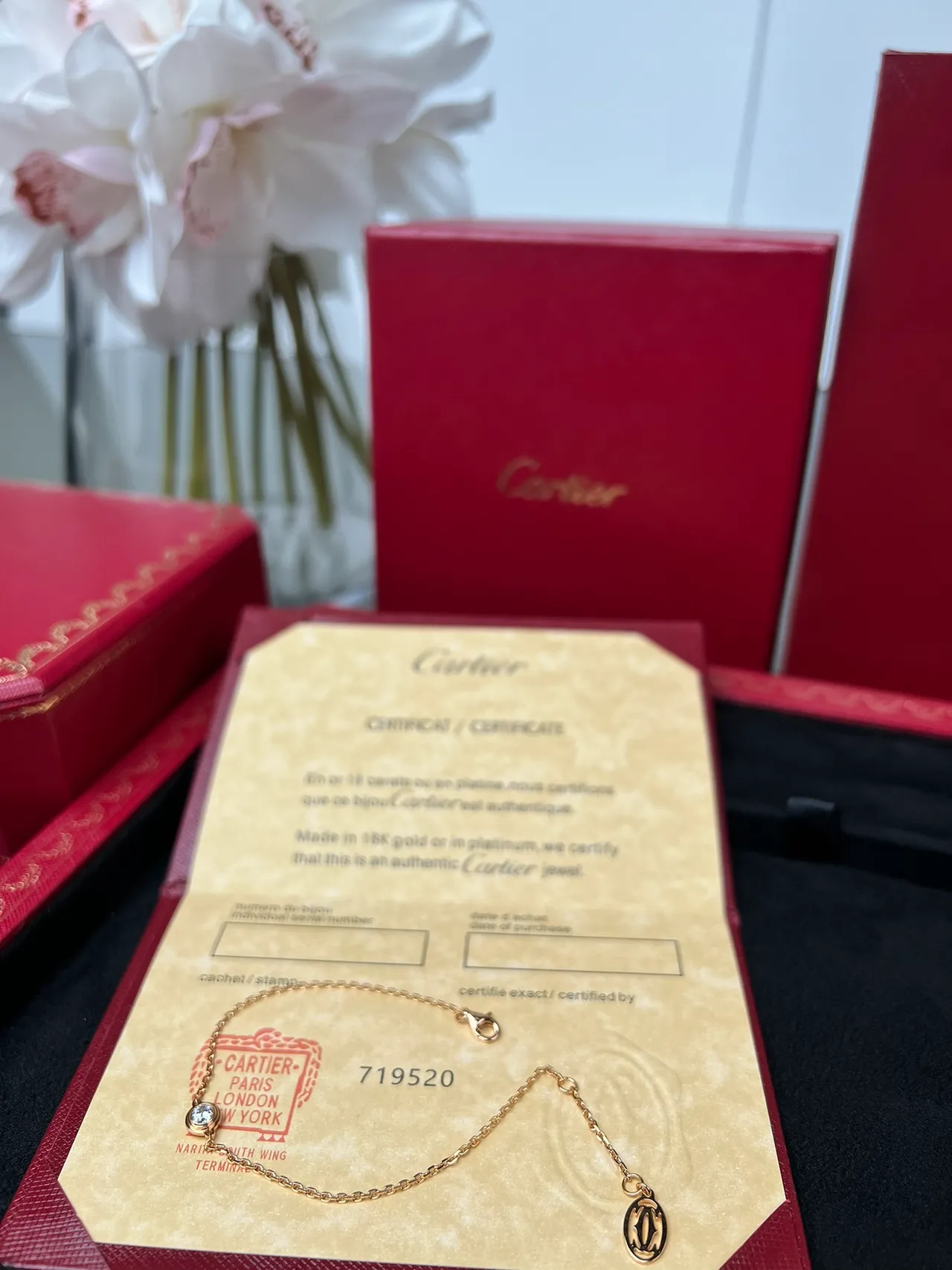Cartier Pulseira de corrente de ouro com uma pedra 7