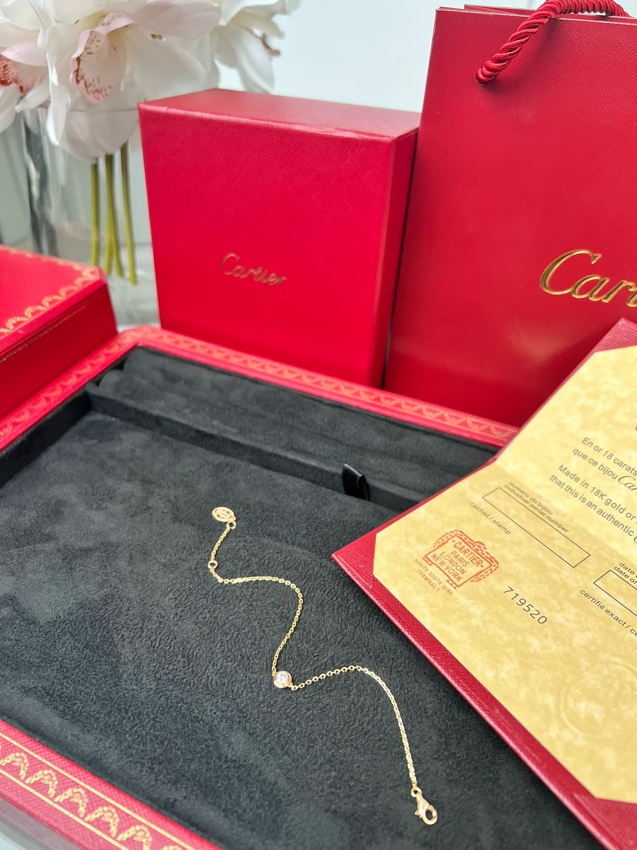 Cartier Pulseira de corrente de ouro com uma pedra 8