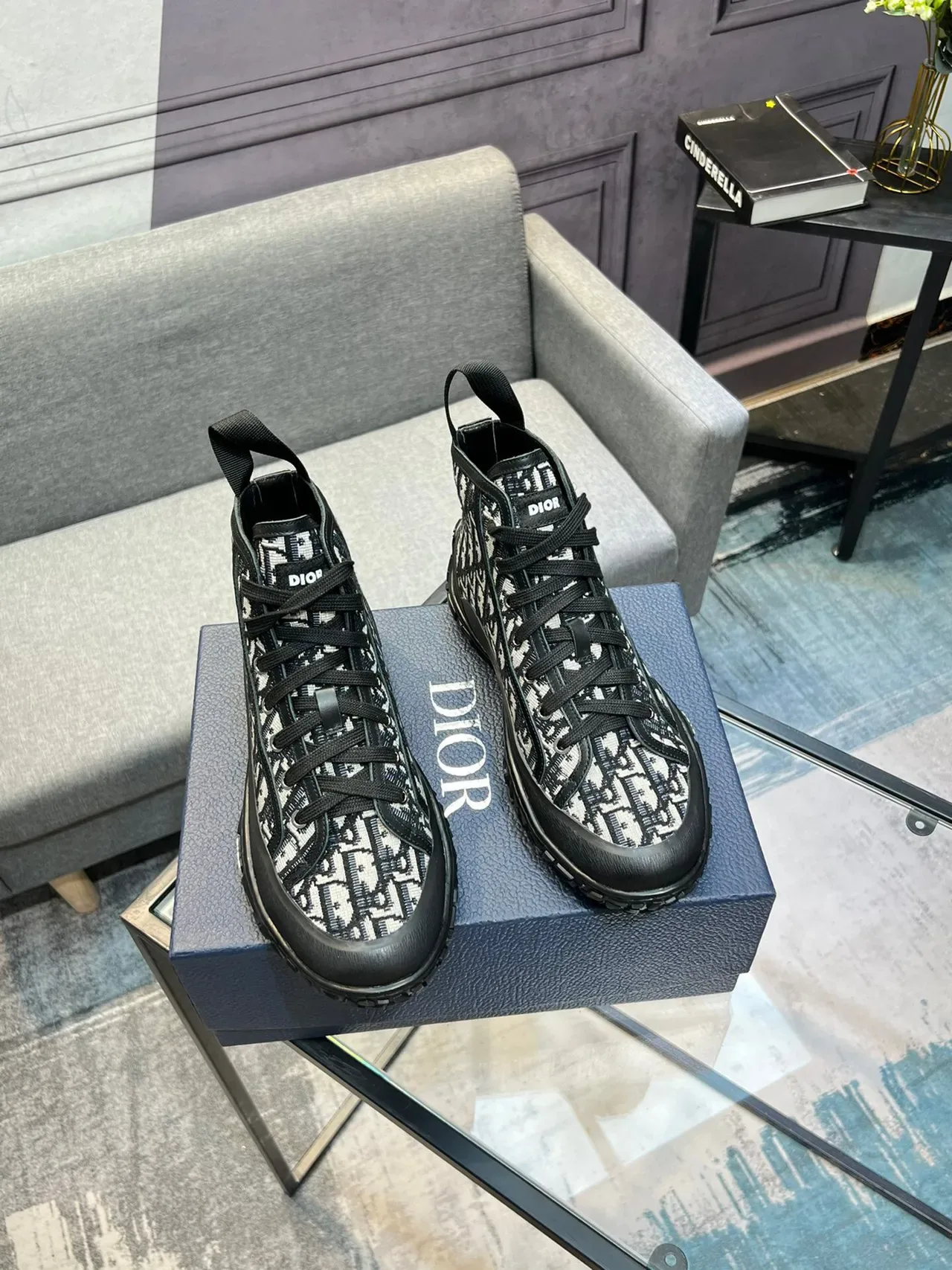 Dior B23 Monogram Sneakers Lifestyle Hautes 6