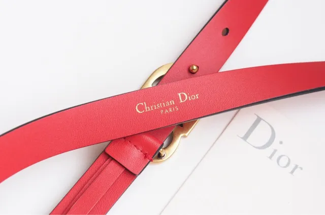 Dior CD Belt Red Black Thin Strap Interlocking Buckle Leather Belt 5
