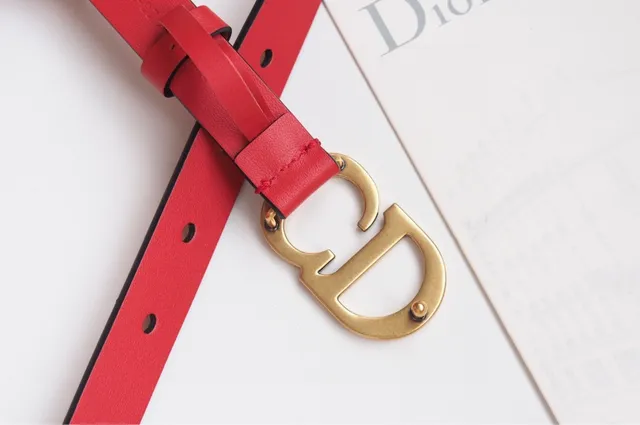 Dior CD Belt Red Black Thin Strap Interlocking Buckle Leather Belt 6