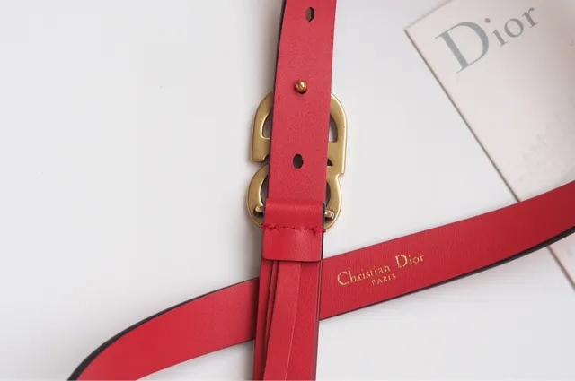 Dior CD Belt Red Black Thin Strap Interlocking Buckle Leather Belt 8