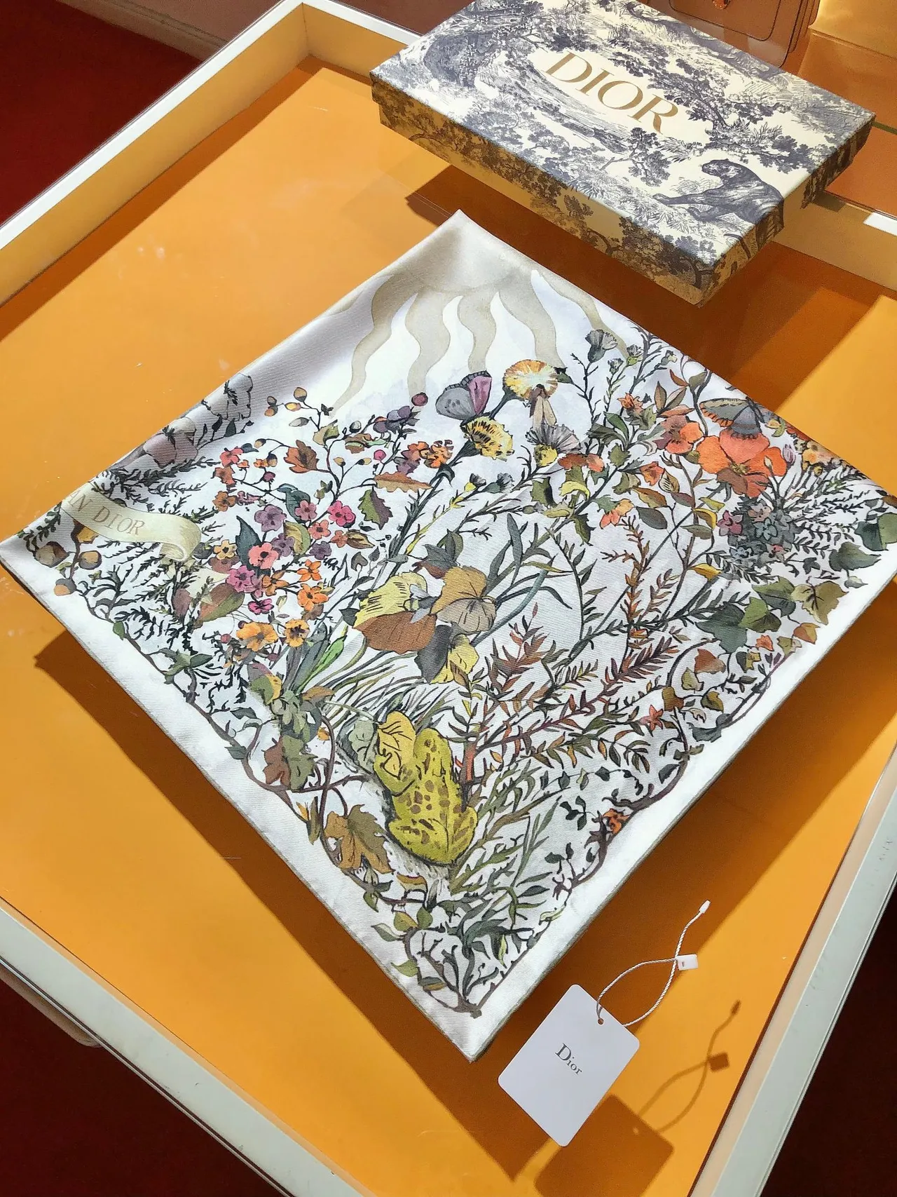 Dior Impressão Floral Botânica Seda Marfim Lenço 7