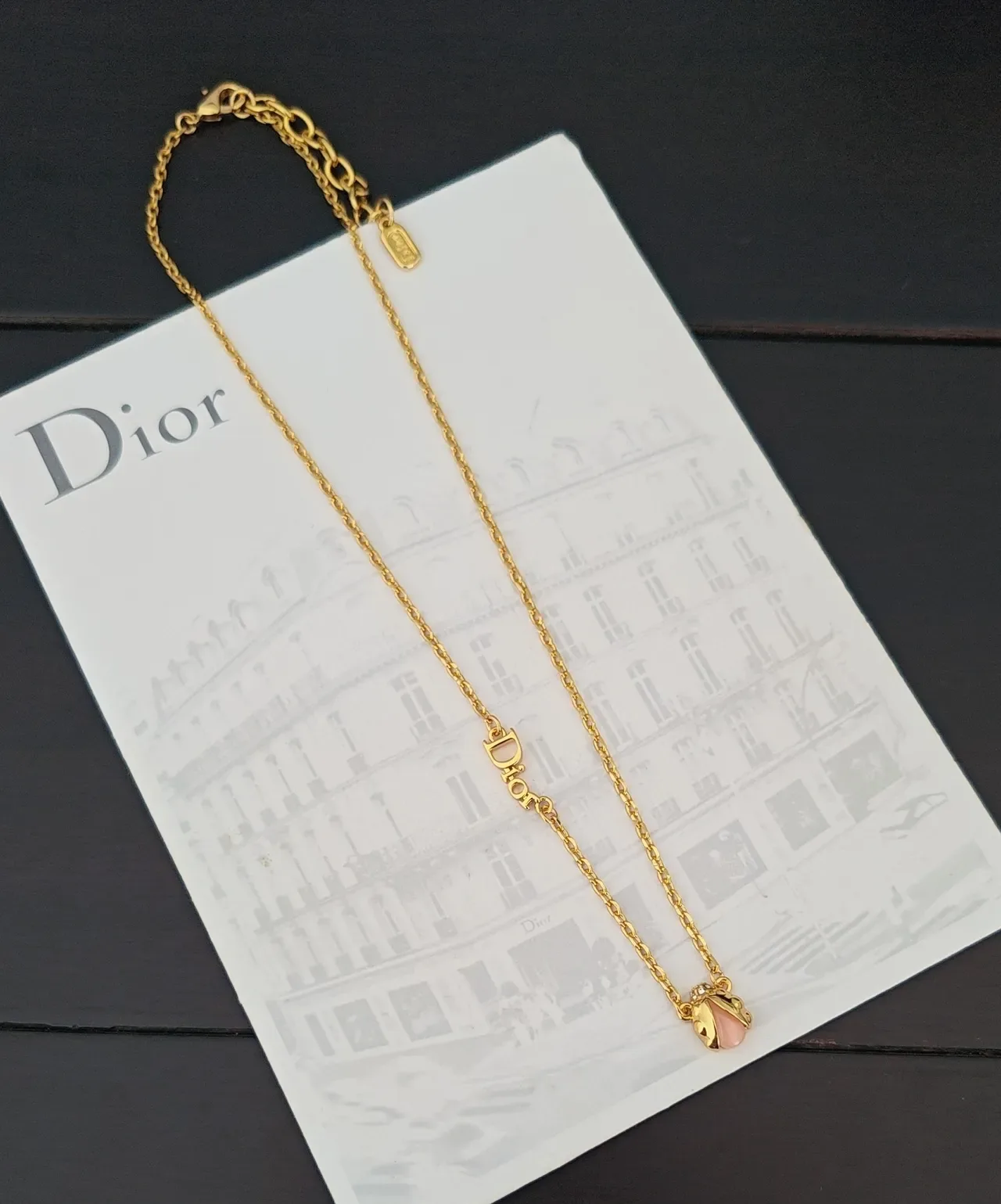 Dior Gold Chain Script Logo Oval Charm Necklace 2