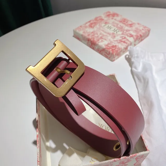 Dior Pink Gold Wide Rectangular Buckle Leather Belt 2