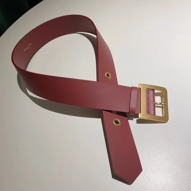 Dior Pink Gold Wide Rectangular Buckle Leather Belt 3