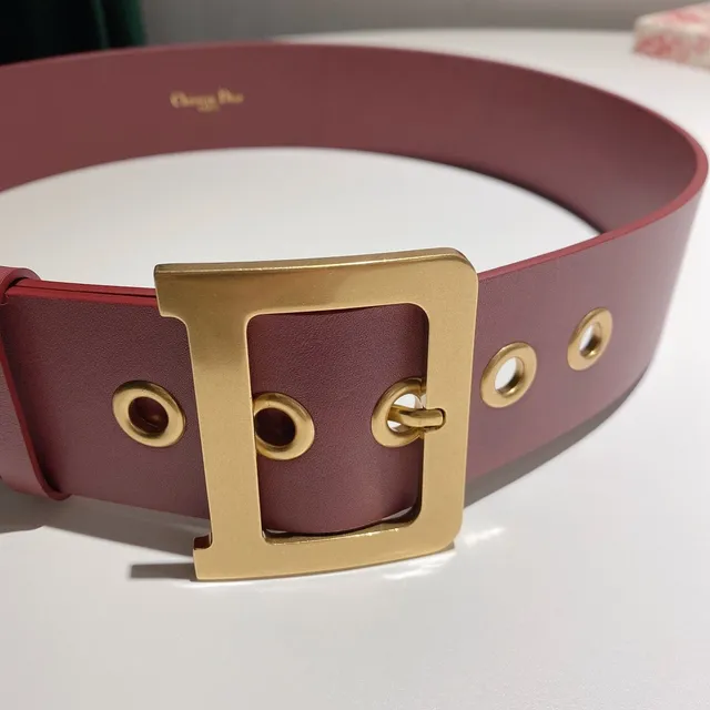 Dior Pink Gold Wide Rectangular Buckle Leather Belt 9