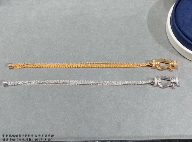 Gold Silver Chain-Link Band Horseshoe-Shaped Clasp Bracelet 4