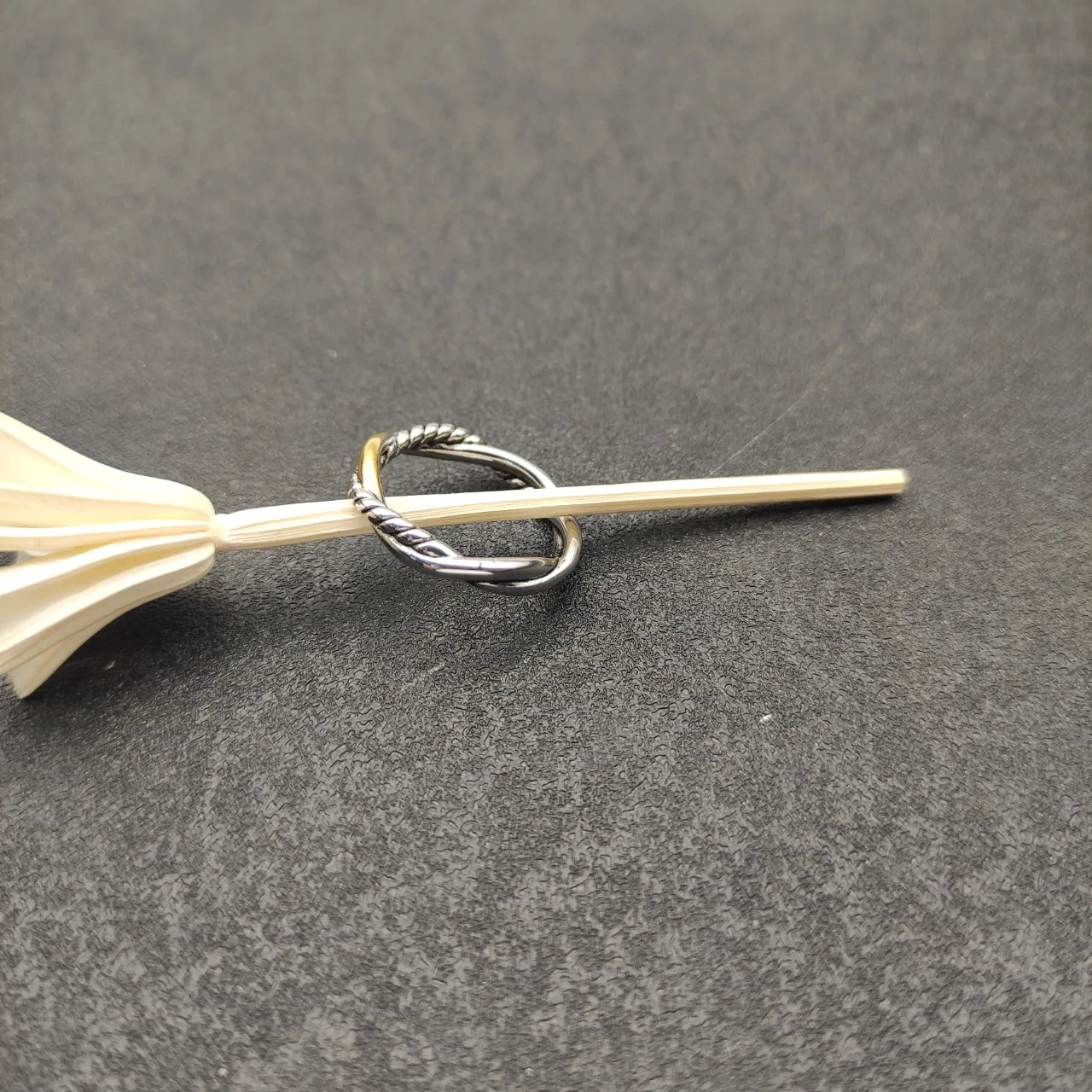 Two-Tone Twisted Rope Interlocking Ring 7