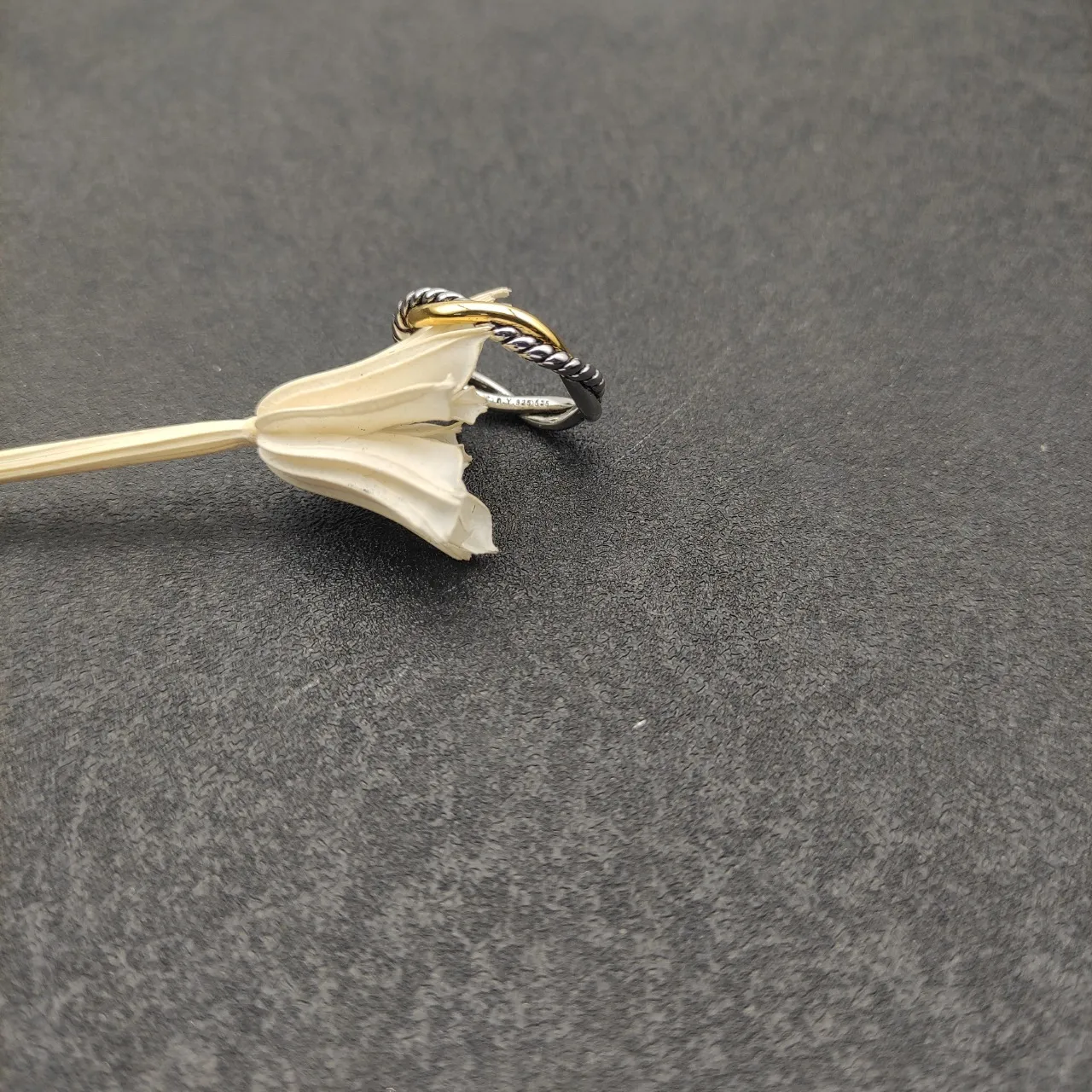 Two-Tone Twisted Rope Interlocking Ring 8