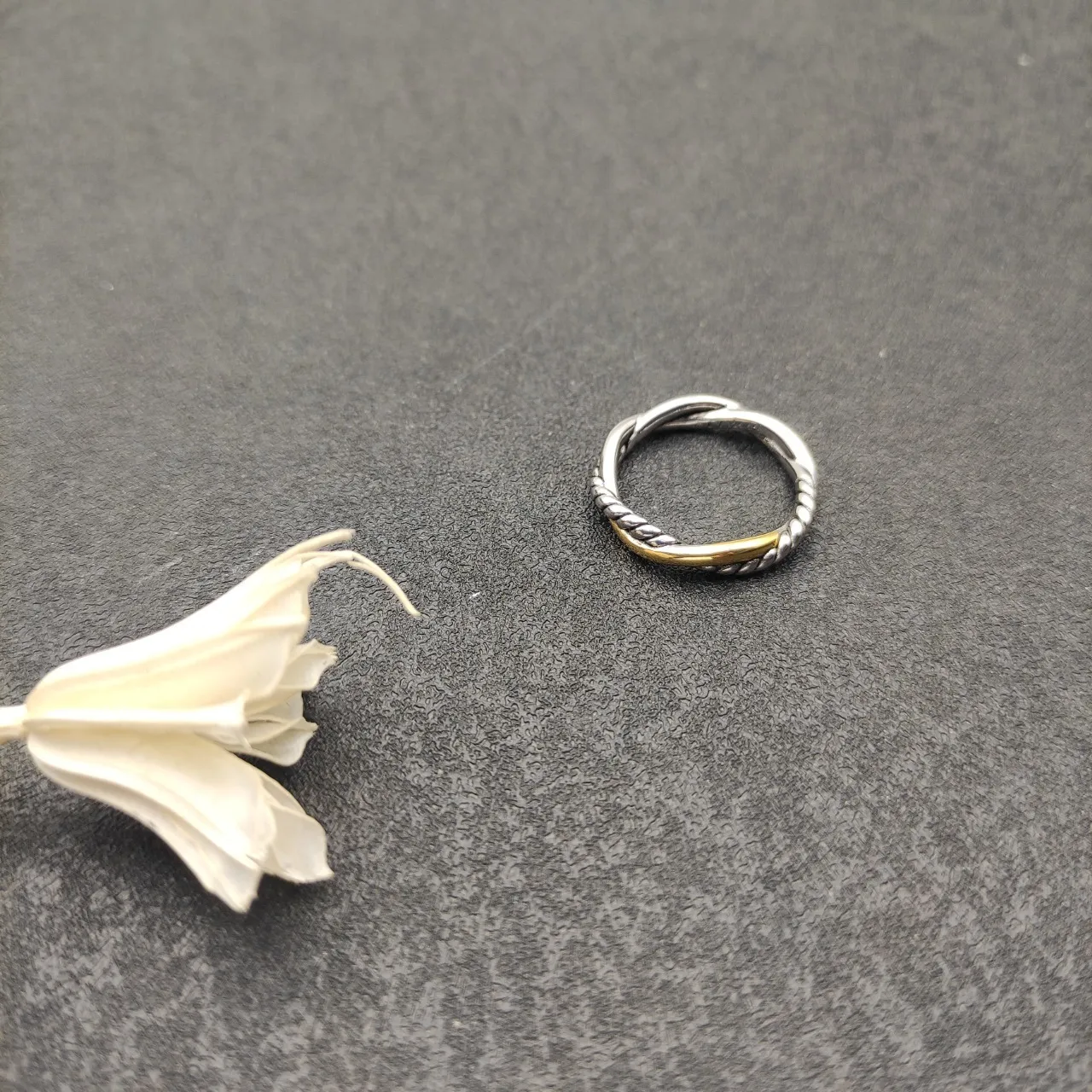 Two-Tone Twisted Rope Interlocking Ring 9