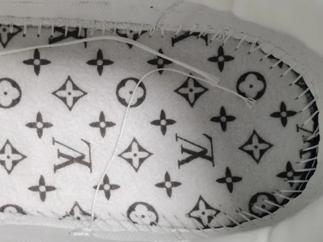 Louis Vuitton Blue White Monogram Denim Upper Leather Overlays Lifestyle Sneakers 4