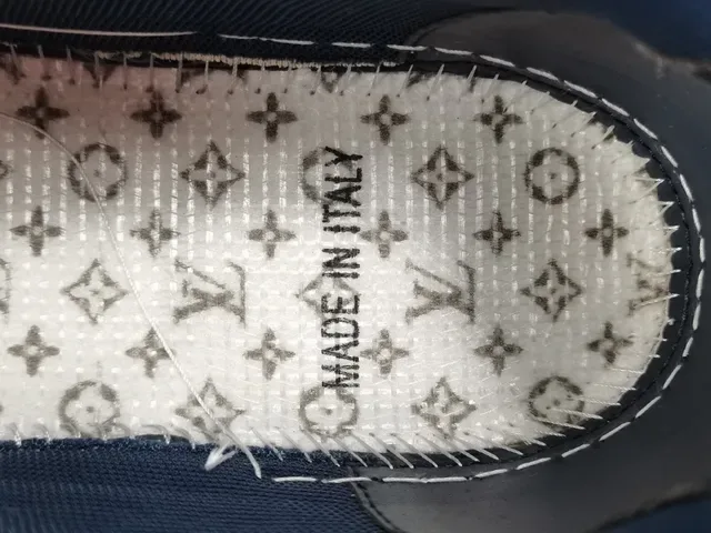 Louis Vuitton White Navy Low-Top Layered Leather Upper Lifestyle Sneakers 2