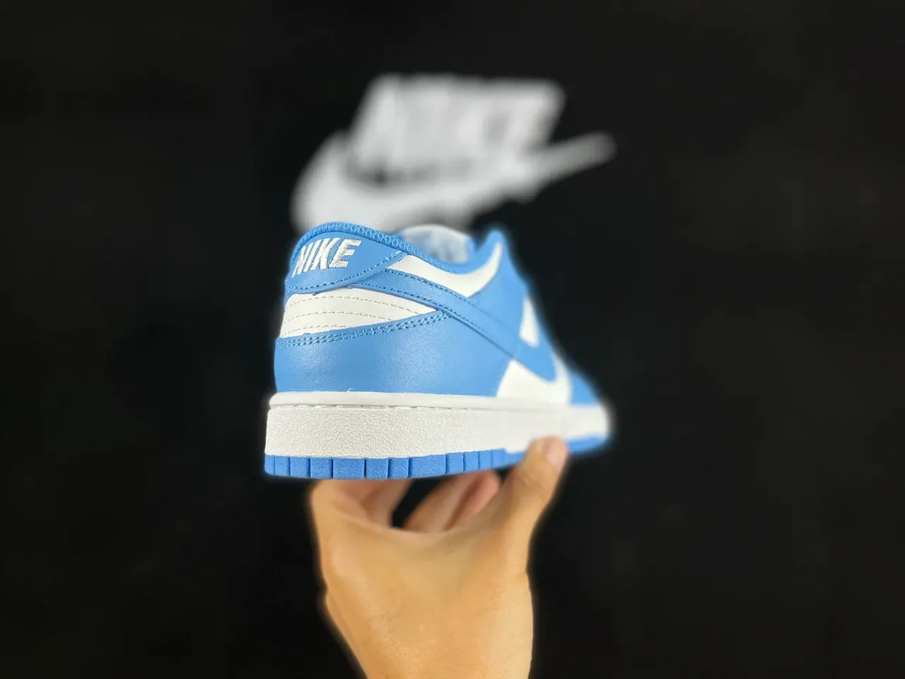 Nike Dunk Low Light Blue and White Lifestyle Sneakers 6