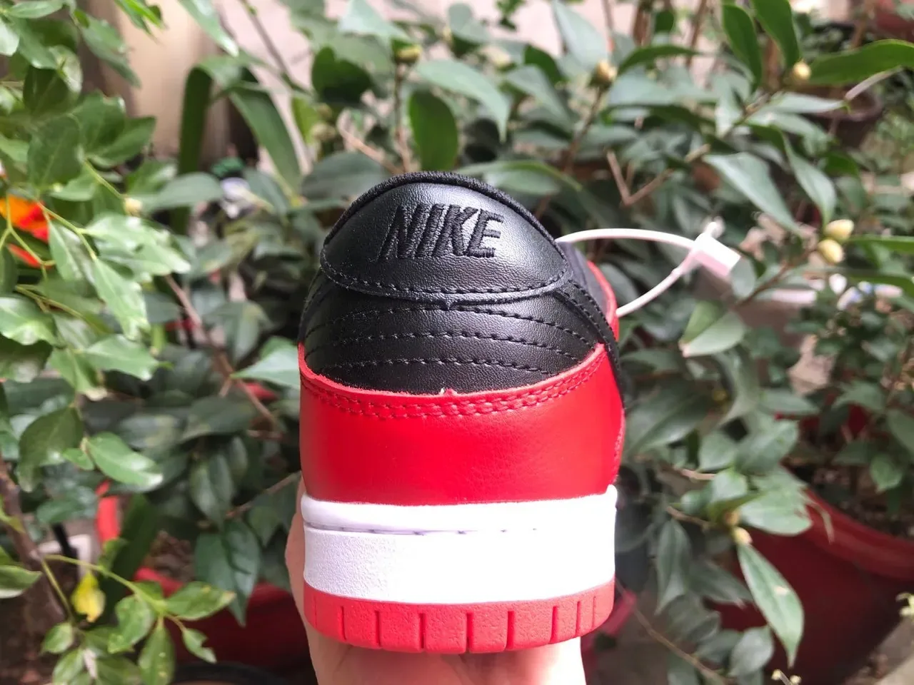 Nike Dunk Low Red White Black Lifestyle Sneakers 5