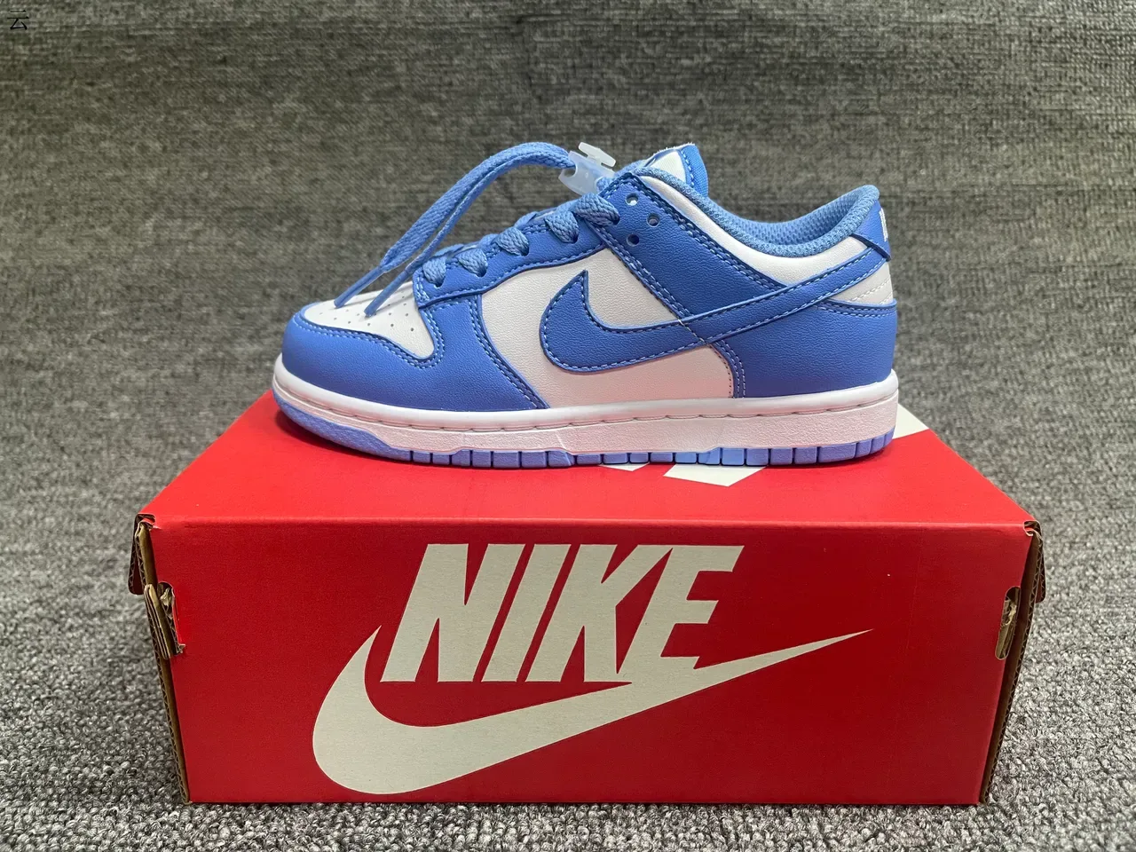 Nike Dunk Low White Royal Blue Lifestyle Sneakers 10