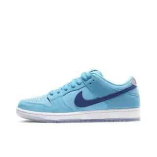 Nike SB Dunk Low Light Blue and Deep Blue Skateboard Shoes