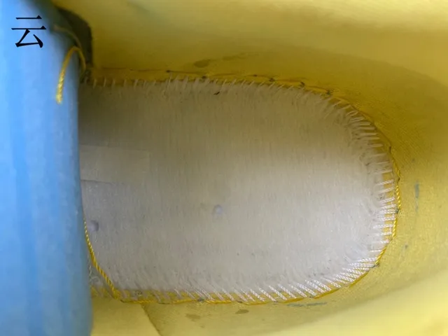 Nike Yellow Blue Low-Top Cupsole Lifestyle Sneakers 14