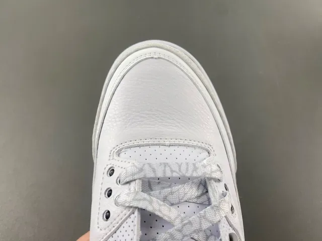 Air Jordan 3 Chaussures de Basketball à imprimé éléphant blanc 6