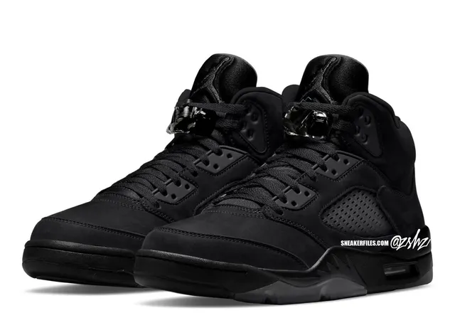 Chaussures de basketball Air Jordan 5 entièrement noires 2