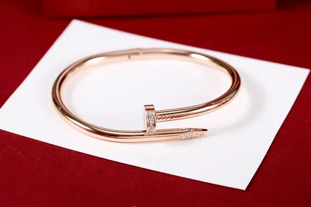 Cartier Juste un Clou Nail Motif Pavé Diamants Bracelets 5