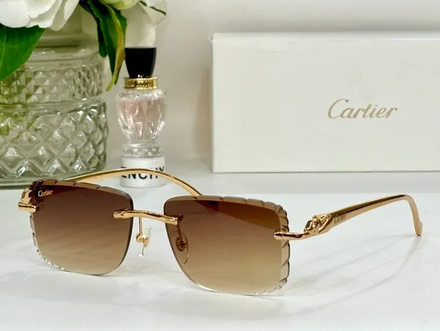 Cartier Panthère Rimless Gradient Blue Sunglasses 6