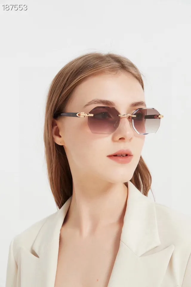 Cartier Santos Lunettes de Soleil Marron Doré Sans Monture Détail de Charnière 2