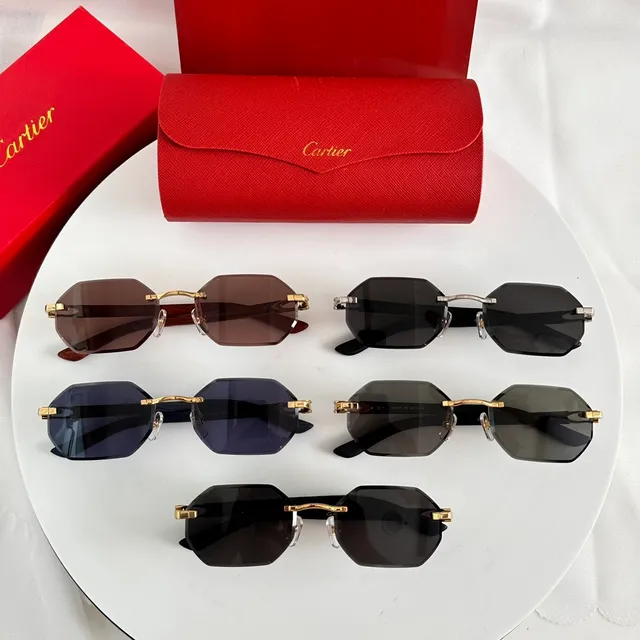 Cartier Santos Lunettes de Soleil Marron Doré Sans Monture Détail de Charnière 4