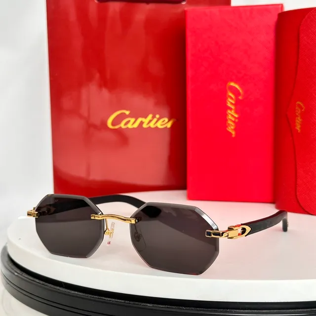 Cartier Santos Lunettes de Soleil Marron Doré Sans Monture Détail de Charnière 5